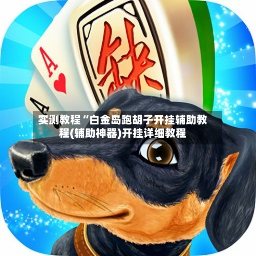 实测教程“白金岛跑胡子开挂辅助教程(辅助神器)开挂详细教程-第2张图片