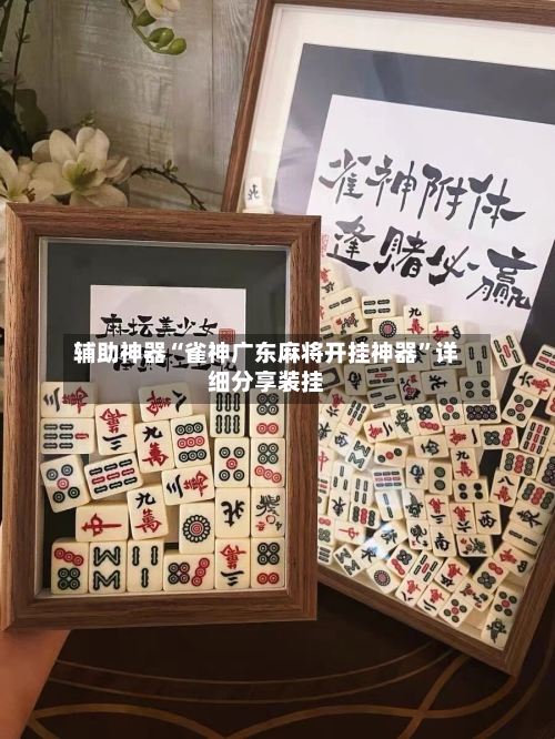 辅助神器“雀神广东麻将开挂神器	”详细分享装挂-第2张图片