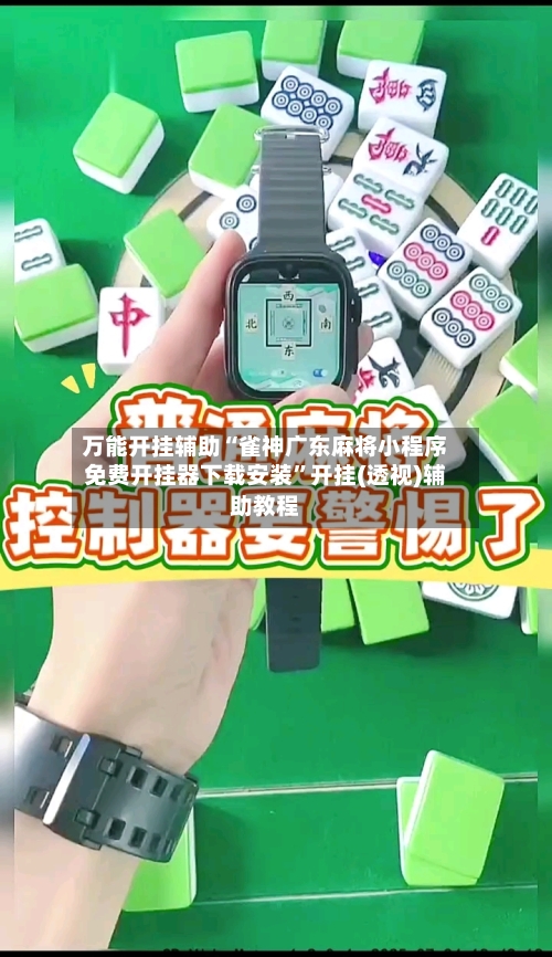 万能开挂辅助“雀神广东麻将小程序免费开挂器下载安装”开挂(透视)辅助教程-第3张图片
