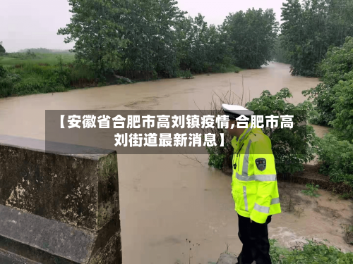 【安徽省合肥市高刘镇疫情,合肥市高刘街道最新消息】-第2张图片