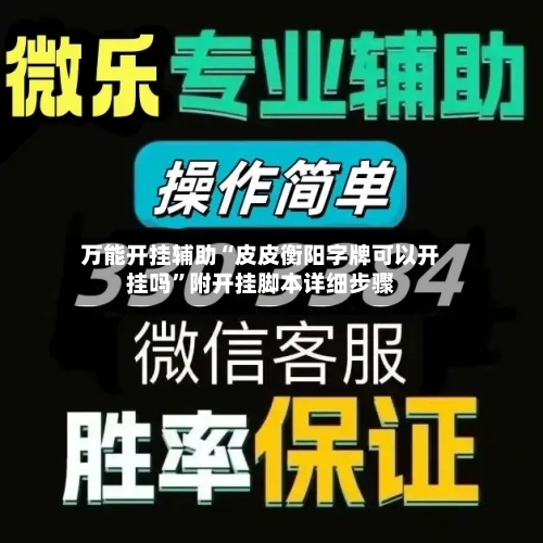 万能开挂辅助“皮皮衡阳字牌可以开挂吗	”附开挂脚本详细步骤-第2张图片