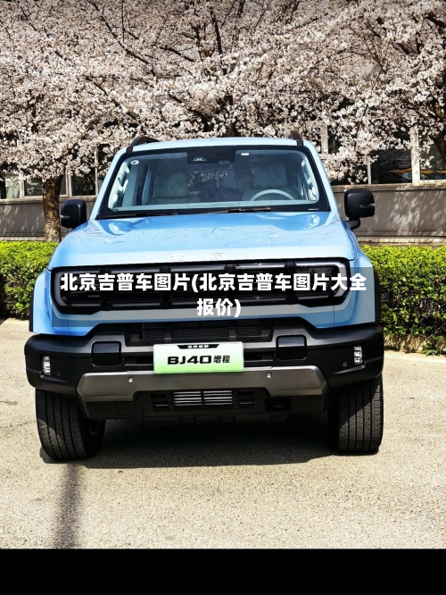 北京吉普车图片(北京吉普车图片大全报价)-第2张图片
