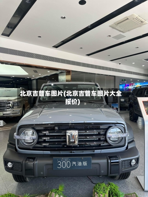 北京吉普车图片(北京吉普车图片大全报价)-第1张图片