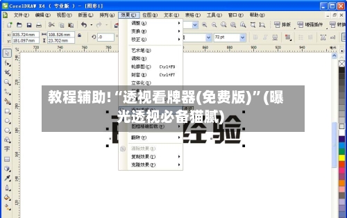 教程辅助!“透视看牌器(免费版)	”(曝光透视必备猫腻)-第2张图片