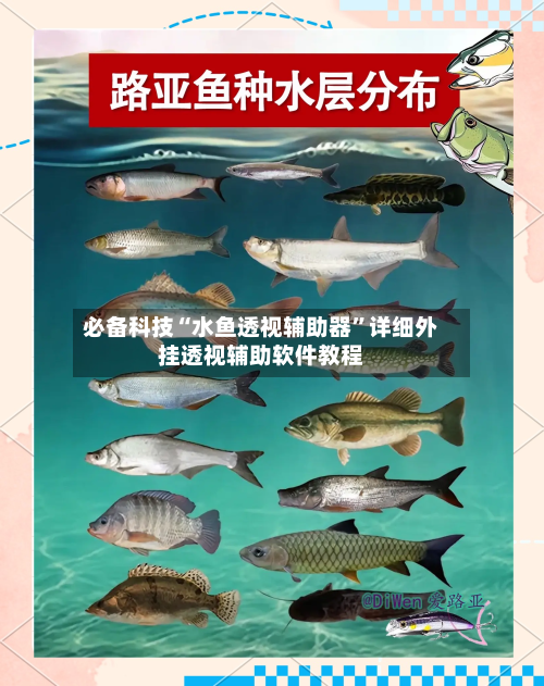 必备科技“水鱼透视辅助器”详细外挂透视辅助软件教程-第2张图片