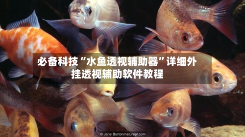 必备科技“水鱼透视辅助器	”详细外挂透视辅助软件教程-第1张图片