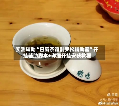 实测辅助“巴蜀茶馆割罗松辅助器”开挂辅助脚本+详细开挂安装教程-第2张图片