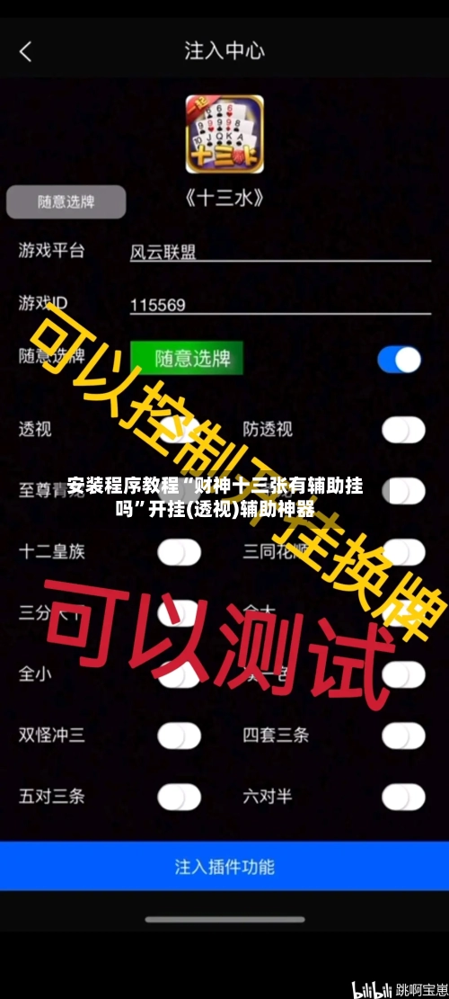 安装程序教程“财神十三张有辅助挂吗	”开挂(透视)辅助神器-第2张图片