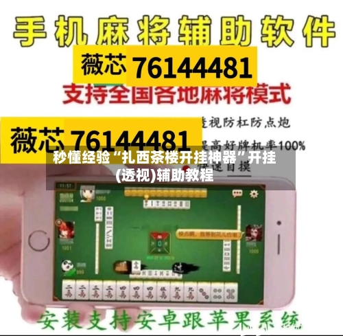 秒懂经验“扎西茶楼开挂神器	”开挂(透视)辅助教程-第2张图片