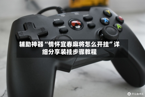 辅助神器“情怀宜春麻将怎么开挂”详细分享装挂步骤教程-第3张图片