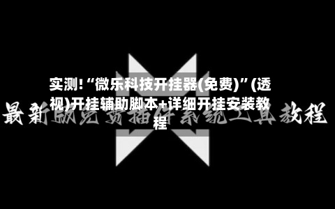 实测!“微乐科技开挂器(免费)”(透视)开挂辅助脚本+详细开挂安装教程-第2张图片