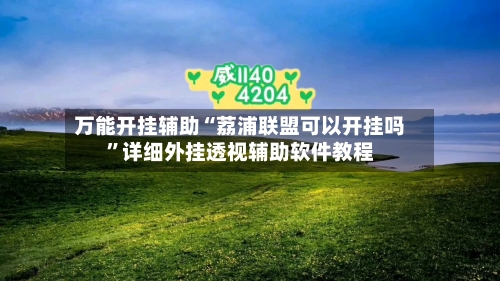 万能开挂辅助“荔浦联盟可以开挂吗	”详细外挂透视辅助软件教程-第3张图片