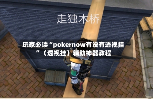 玩家必读“pokernow有没有透视挂	”（透视挂）辅助神器教程-第1张图片