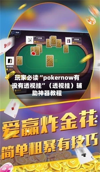 玩家必读“pokernow有没有透视挂”（透视挂）辅助神器教程-第3张图片