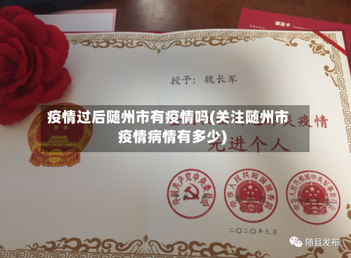 疫情过后随州市有疫情吗(关注随州市疫情病情有多少)-第2张图片