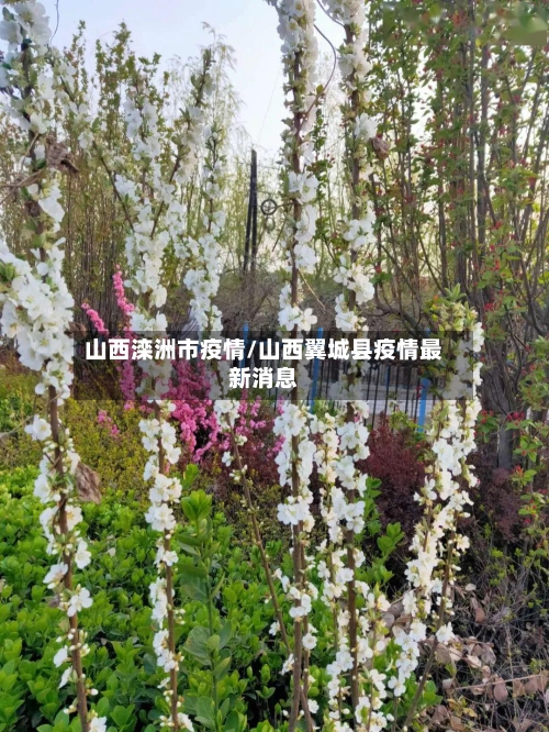 山西滦洲市疫情/山西翼城县疫情最新消息-第3张图片