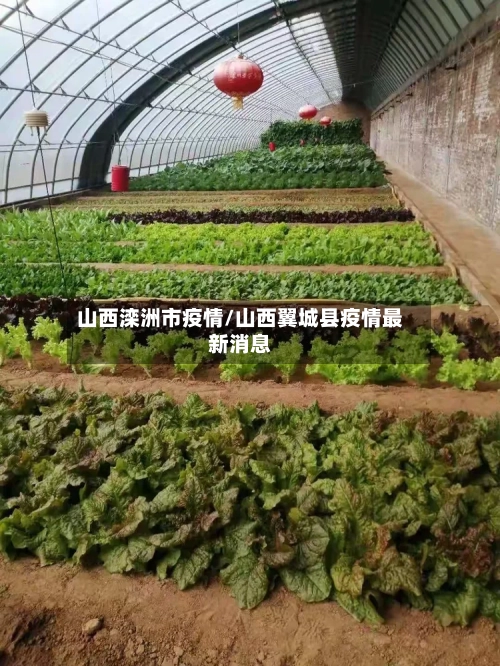 山西滦洲市疫情/山西翼城县疫情最新消息-第1张图片
