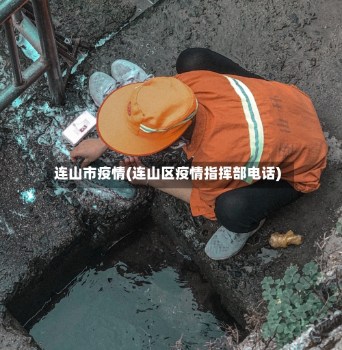连山市疫情(连山区疫情指挥部电话)-第2张图片