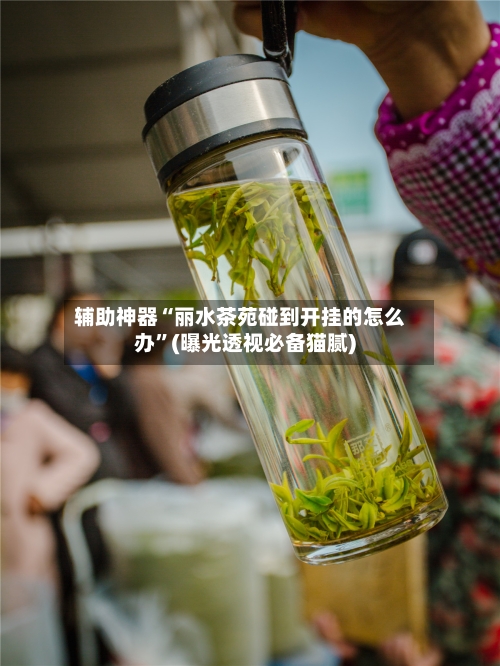 辅助神器“丽水茶苑碰到开挂的怎么办”(曝光透视必备猫腻)-第2张图片