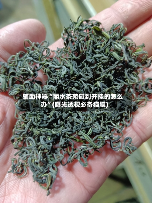 辅助神器“丽水茶苑碰到开挂的怎么办”(曝光透视必备猫腻)-第3张图片