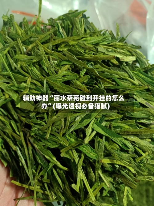 辅助神器“丽水茶苑碰到开挂的怎么办	”(曝光透视必备猫腻)-第1张图片