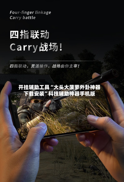 开挂辅助工具“大头大菠萝外卦神器下载安装	”科技辅助神器手机版-第2张图片