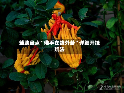 辅助盘点“佛手在线外卦”详细开挂玩法-第1张图片