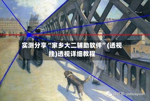 实测分享“家乡大二辅助软件	”(透视挂)透视详细教程-第1张图片