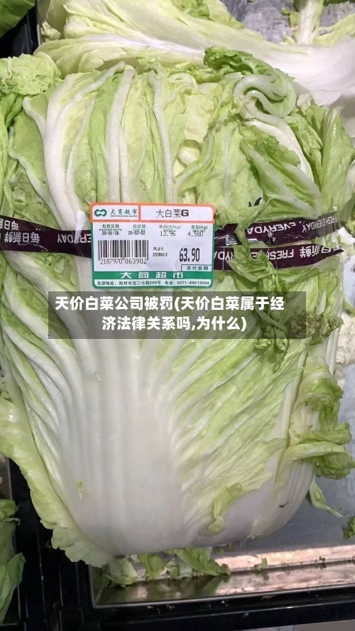 天价白菜公司被罚(天价白菜属于经济法律关系吗,为什么)-第1张图片
