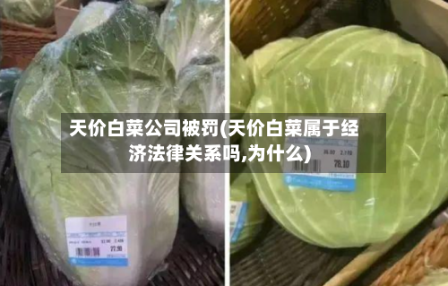 天价白菜公司被罚(天价白菜属于经济法律关系吗,为什么)-第2张图片
