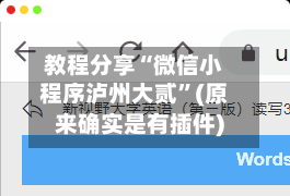 教程分享“微信小程序泸州大贰	”(原来确实是有插件)-第2张图片