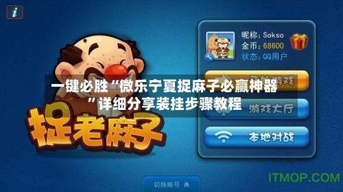 一键必胜“微乐宁夏捉麻子必赢神器”详细分享装挂步骤教程-第1张图片