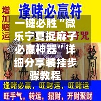 一键必胜“微乐宁夏捉麻子必赢神器”详细分享装挂步骤教程-第3张图片