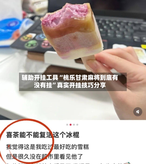 辅助开挂工具“桃乐甘肃麻将到底有没有挂”真实开挂技巧分享-第1张图片