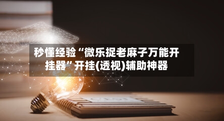 秒懂经验“微乐捉老麻子万能开挂器”开挂(透视)辅助神器-第1张图片