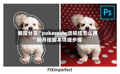 教程分享“pokernow透视挂怎么用	”附开挂脚本详细步骤-第1张图片