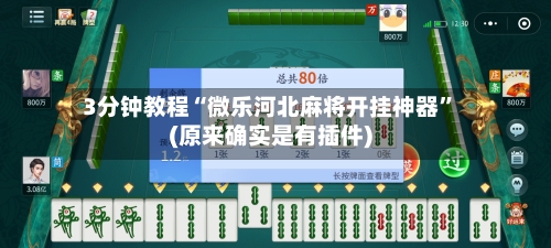 3分钟教程“微乐河北麻将开挂神器”(原来确实是有插件)-第1张图片