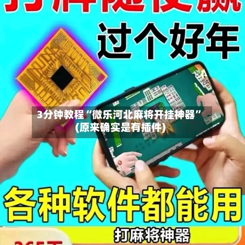 3分钟教程“微乐河北麻将开挂神器	”(原来确实是有插件)-第2张图片