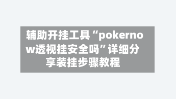 辅助开挂工具“pokernow透视挂安全吗”详细分享装挂步骤教程-第2张图片