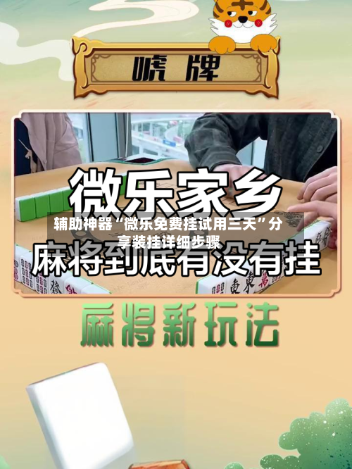 辅助神器“微乐免费挂试用三天”分享装挂详细步骤-第2张图片