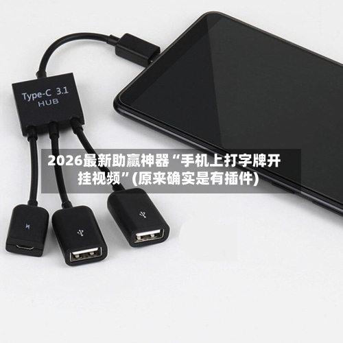 2026最新助赢神器“手机上打字牌开挂视频”(原来确实是有插件)-第2张图片