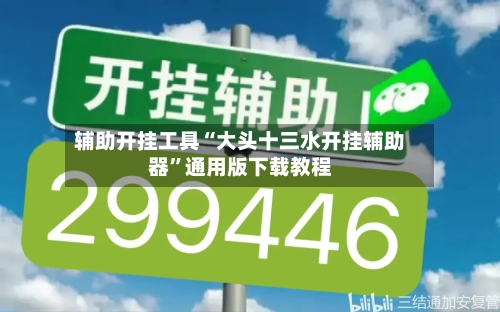 辅助开挂工具“大头十三水开挂辅助器”通用版下载教程-第2张图片