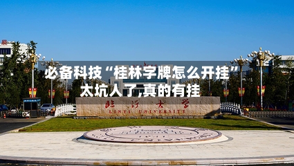 必备科技“桂林字牌怎么开挂”太坑人了,真的有挂-第3张图片
