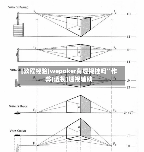 [教程经验]wepoker有透视挂吗”作弊(透视)透视辅助-第1张图片