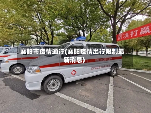 襄阳市疫情通行(襄阳疫情出行限制最新消息)-第2张图片
