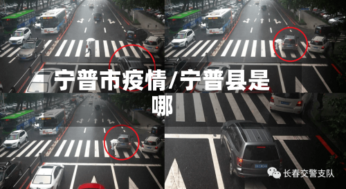 宁普市疫情/宁普县是哪-第3张图片