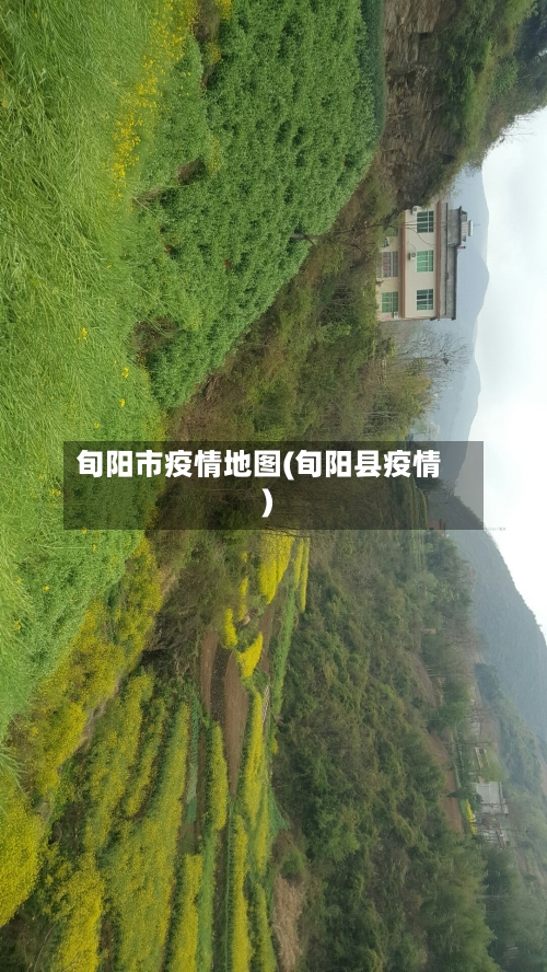 旬阳市疫情地图(旬阳县疫情)-第2张图片