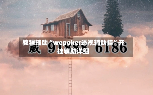 教程辅助“wepoker透视辅助挂”开挂辅助详细-第2张图片