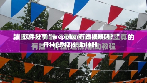 软件分享“wepoker有透视器吗？”开挂(透视)辅助神器-第1张图片