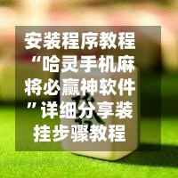 安装程序教程“哈灵手机麻将必赢神软件”详细分享装挂步骤教程-第1张图片